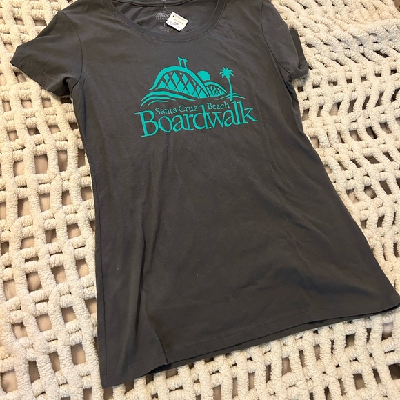 FREE WITH BUNDLE Santa Cruz Gray Tee with Teal Print - Picture 3 of 6